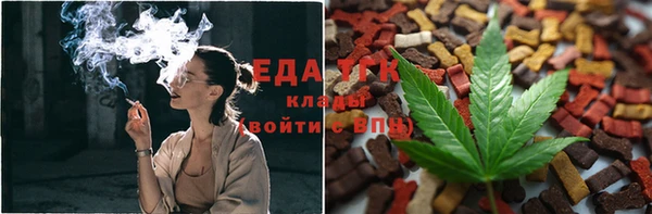 твердый Абаза