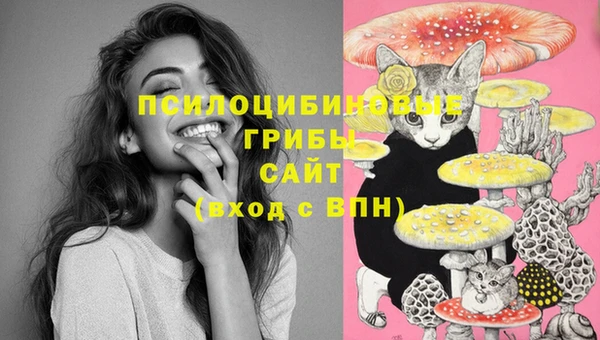 хмурый Абдулино