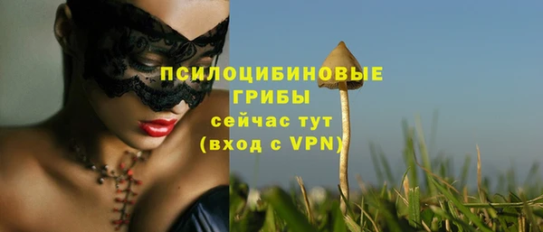 хмурый Абдулино