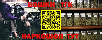 индика Беслан