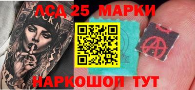 гидра Новозыбков