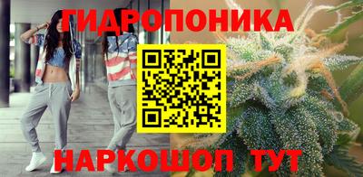 спиды Берёзовский