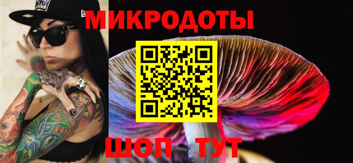 Добрянка  где купить наркоту  Вход с VPN  Псилоцибиновые грибы Cubensis 